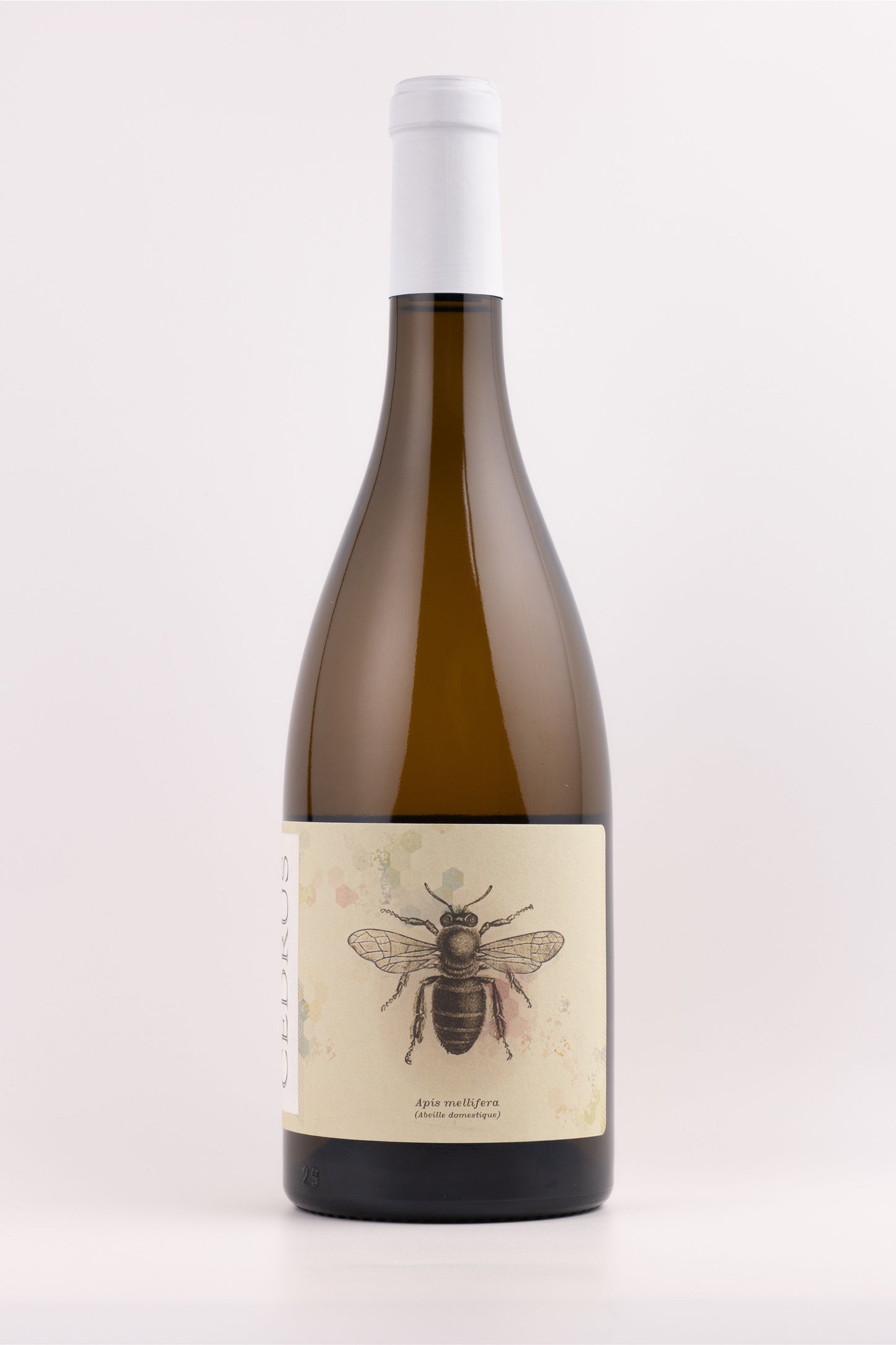 Cuvée Jocas - Blanc 2024 - AOP Ventoux