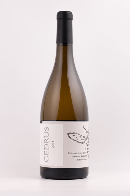 Cuvée Blanc de Noirs - Blanc 2024 - BIO